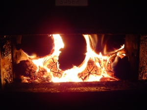 The combustion of wood fuel